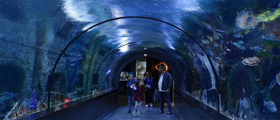 Trabzon'daki Tünel Akvaryum 16 ayda 446 bini aşkın ziyaretçiyi ağırladı