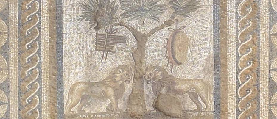 Düzce'de antik kentte aslanlı mozaik bulundu
