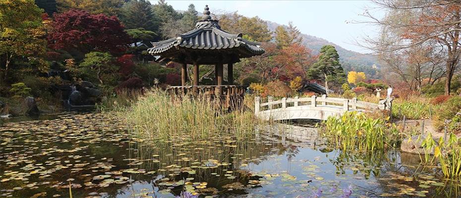 Güney Kore turizmi Kore Dalgası ile yükselişe geçti