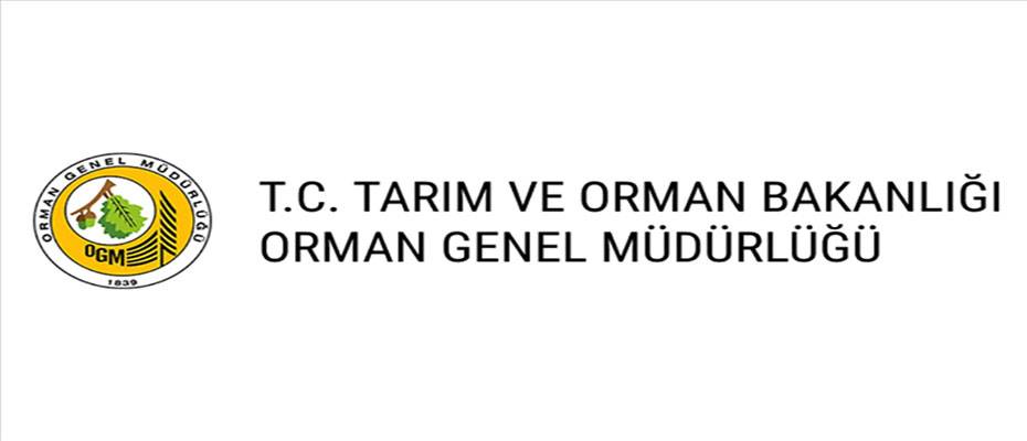 OGM, ‘Muğla'da yanan ormanlık alana otel inşa edildiği’ iddialarını yalanladı