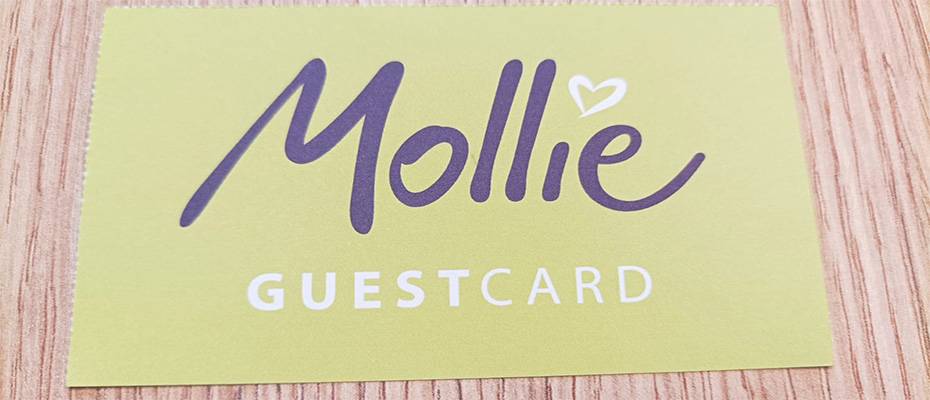 Mollie Guestcard geht an den Start