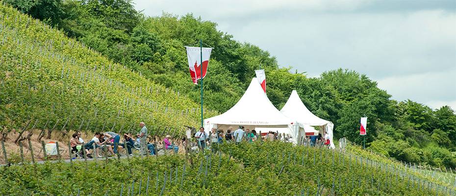 Rheinhessen: Im Frühling beginnt die Weinfest-Saison