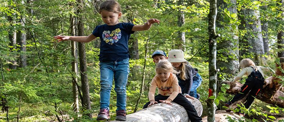 Neue Wanderwege für Familien im Schwarzwald