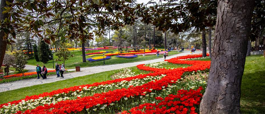Die Farben des Frühlings in İstanbul genießen
