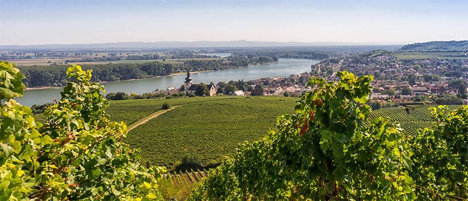 Wandern am Roten Hang bei Nierstein - Weinberge mit Aussicht