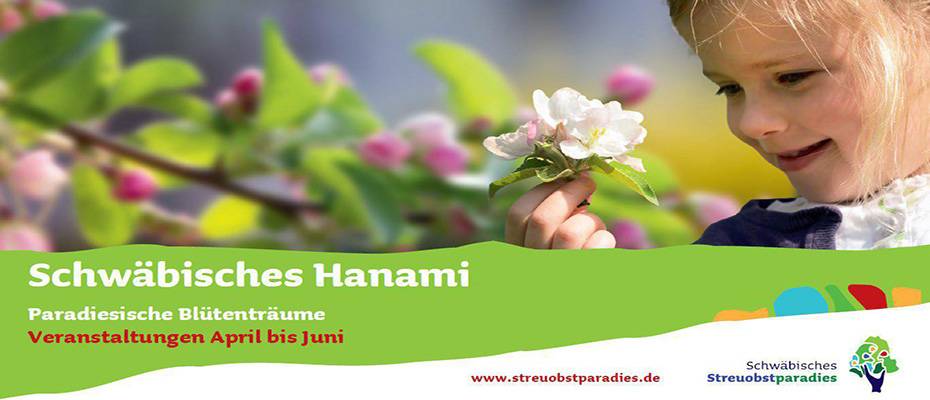 Das ‘Schwäbische Hanami’ lockt im April mit zahlreichen Veranstaltungen zur Obstbaumblüte