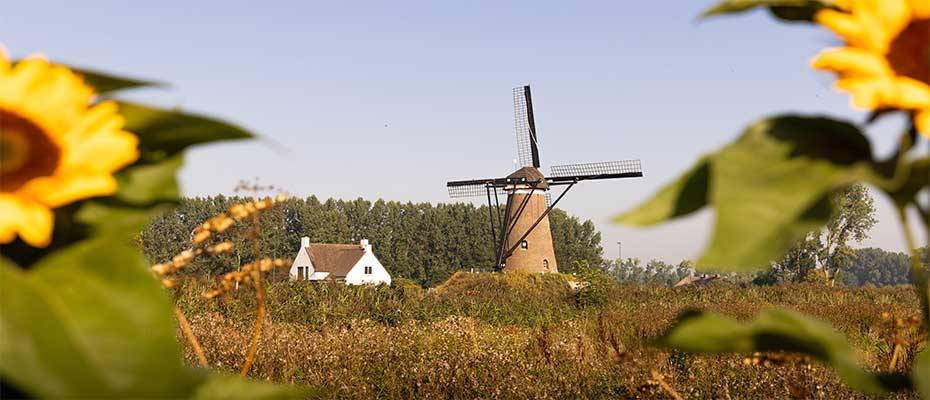 Über die Feiertage in die Niederlande – ganz ohne Planungsstress