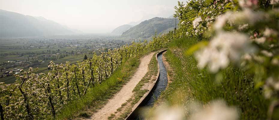 La vita è bella: Lana, der Seelenschmeichler der italienischen Ferienregionen