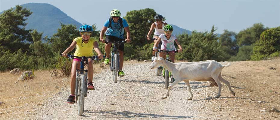 Familienreisen mit Frosch Sportreisen: unvergessliche Erlebnisse für Groß und Klein