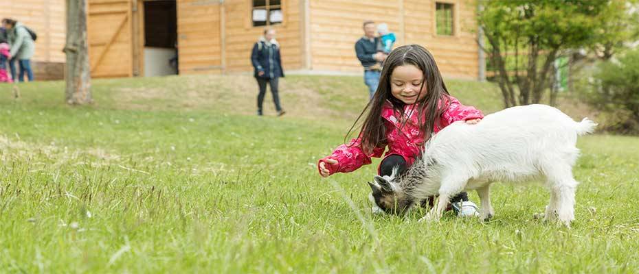 Die Sommermonate 2024 bei Center Parcs