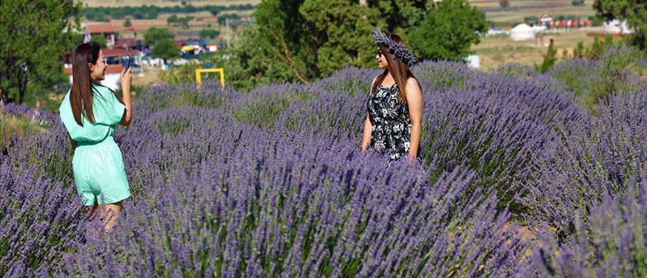 Explore Türkiye's Flower Garden 'Isparta' in the Harvest Season: A Haven of Nature and History