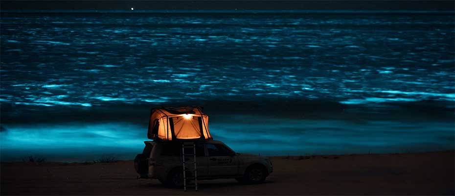 Meeresleuchten in Oman