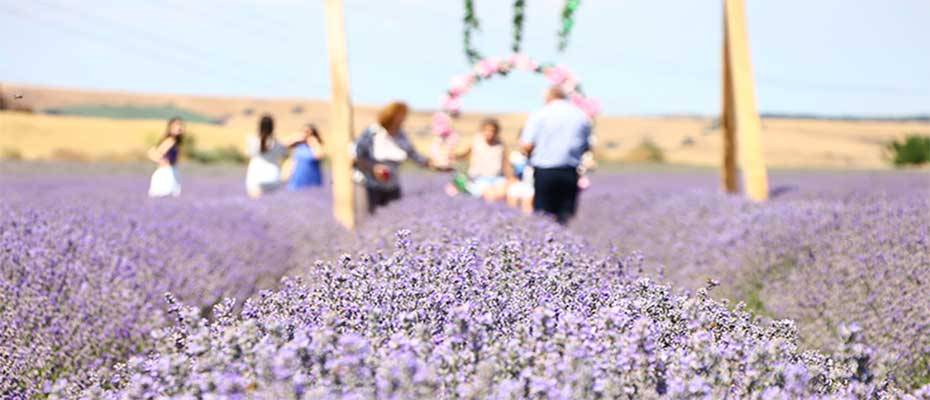 Tekirdağ'da turistlerin ilgi odağı haline gelen lavanta tarlaları çok sayıda ziyaretçiyi ağırladı