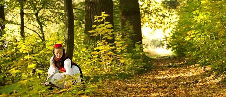 Märchenhaftes Genusswandern auf den Spuren der Brüder Grimm