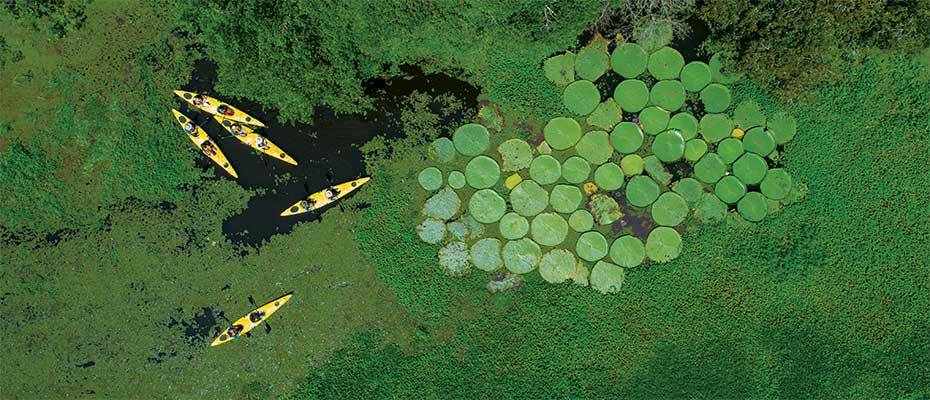 Seabourn unveils new expedition itineraries for 2026-2027 - Read the News