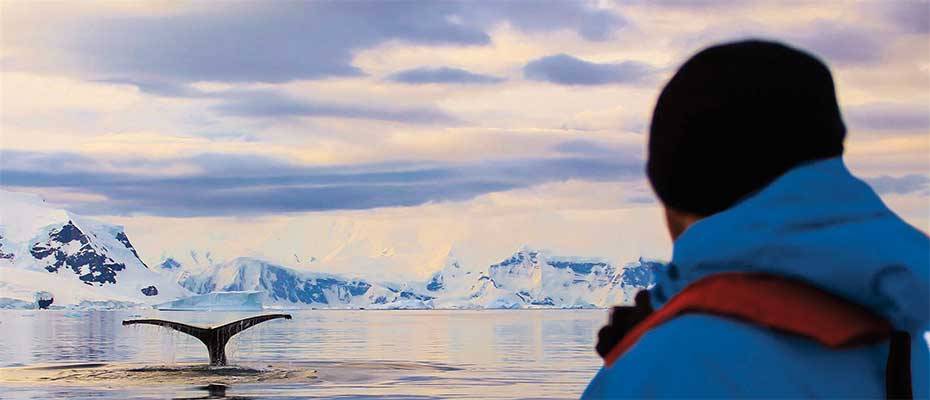 Semi-circumnavigation of the Antarctic from Tierra del Fuego to New Zealand with Hapag-Lloyd Cruises - Read the News