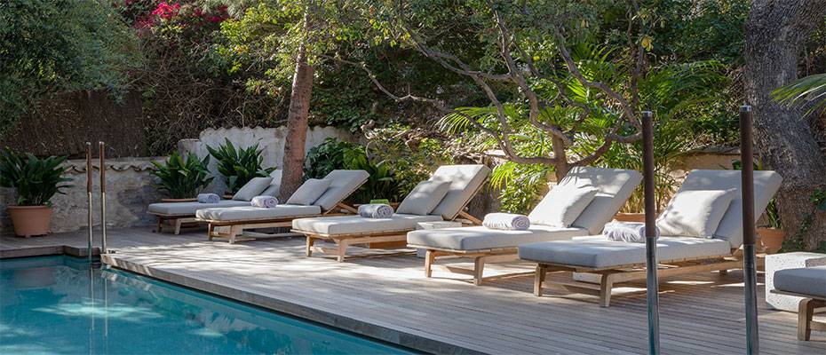 Mit Can Bordoy die Herbstsonne Palmas genießen: Nicht nur für Zweibeiner - Lesen Sie die Nachrichten