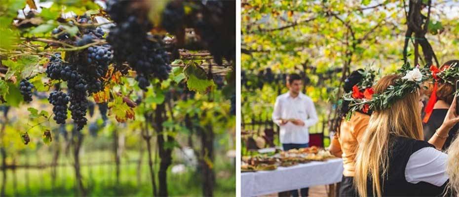 From Farm to Table in Albania: A Journey Through Nature and Culture - Read the News