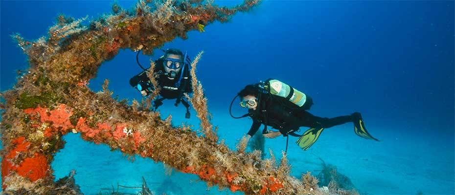 Malta auf der boot Düsseldorf 2025 - Lesen Sie die Nachrichten
