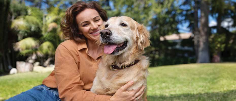 Relocate pets and ship cars for less with Emirates Skywards - Read the News