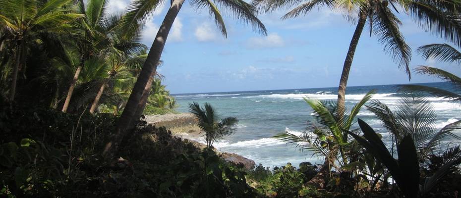Die DomRep kann auch anders: aktiv durchs Karibikparadies