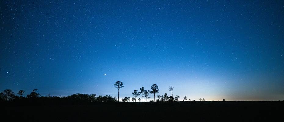 Sternenklare Nächte in Floridas Wildnis: Stargazing-Erlebnisse in den Everglades
