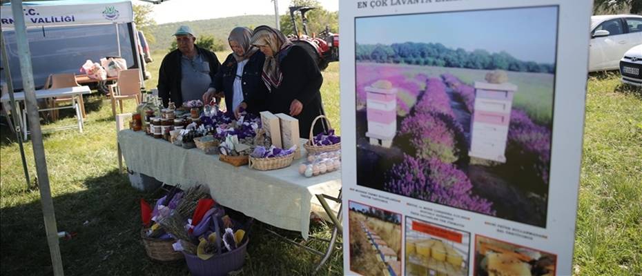 Edirne'de Apiturizm ile Doğal Turizm Canlanıyor