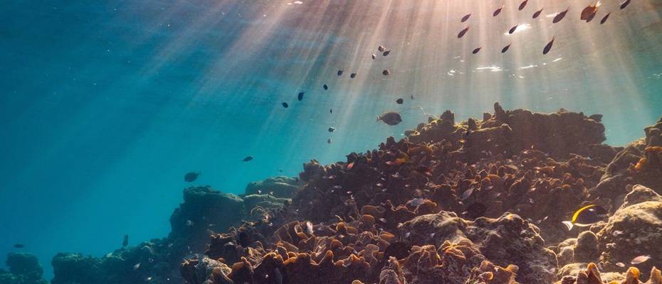 The Ritz-Carlton Maldives, Fari Islands: Engagement für den Meeresschutz – an 365 Tagen im Jahr