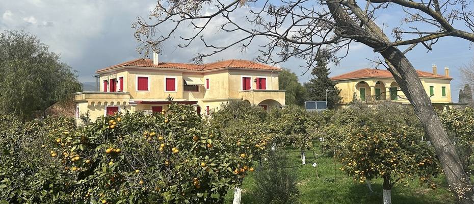Sakız Adası’ndaki Türk Favorisi Bella Cisterna’ya Altın Ödül