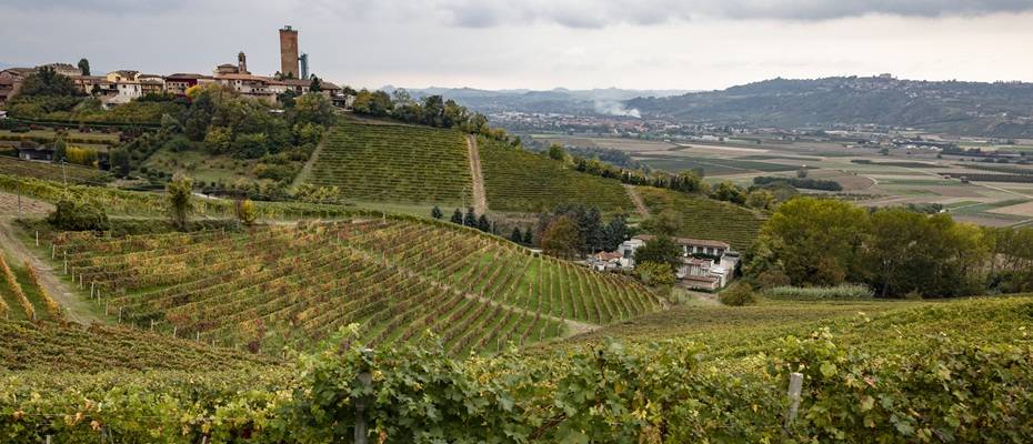 UNESCO-Weinlandschaften im Piemont: Genuss, Kultur und Kunst im Rhythmus der Reben