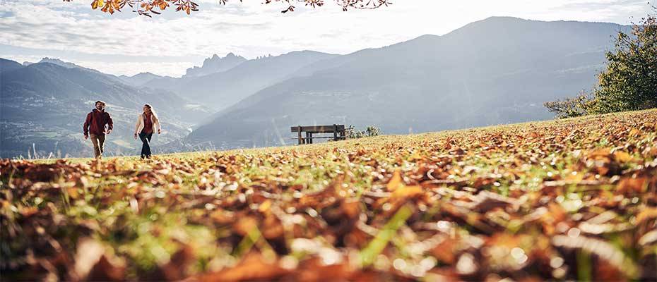 Sommerfrische in Brixen: Gipfel, Genuss und Geschichten