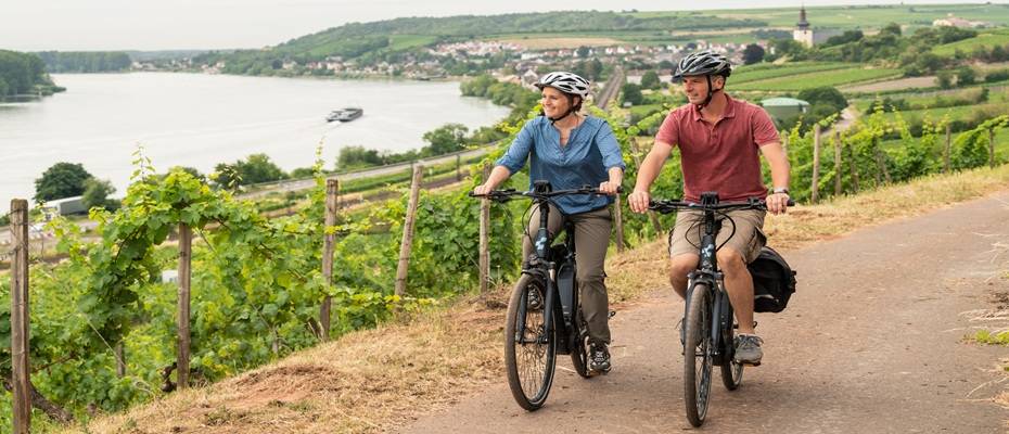 Genussradeln am Rhein: Rheinhessen lockt mit traumhaften Touren entlang des Rheinradwegs