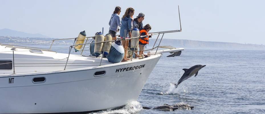 Entdeckerzeit für Familien: Naturabenteuer an der Algarve