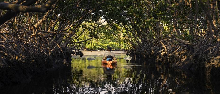 Wildes Florida: Natur hautnah – zu Land, zu Wasser und in der Luft erleben