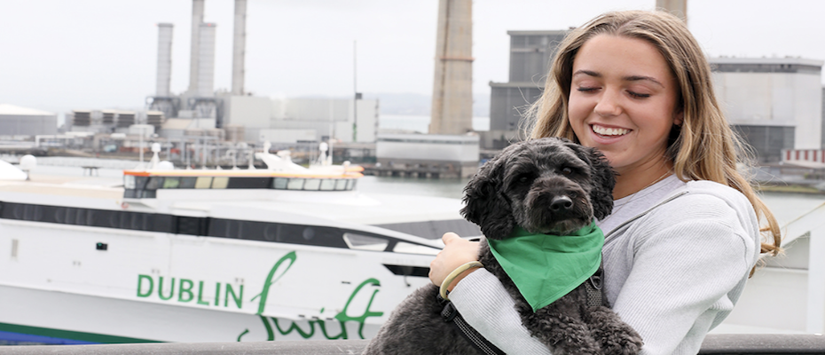 Pet Travel just got upgraded