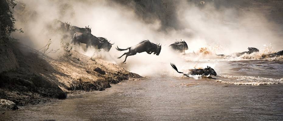 Große Tierwanderung in Kenia: Naturerlebnis und Verantwortung im Einklang