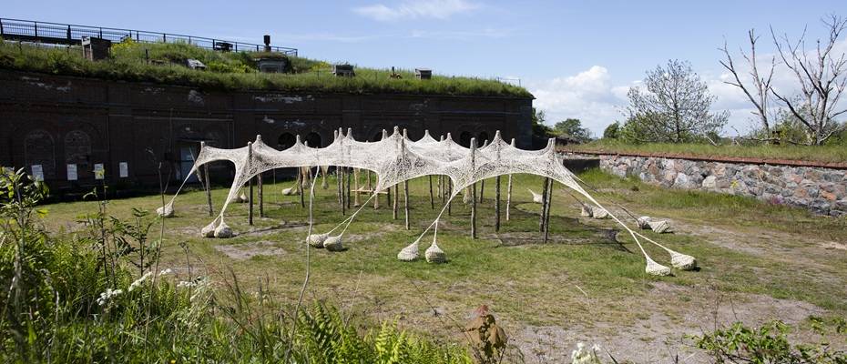 Helsinki Biennale 2025: Kunst, Natur und neue Perspektiven