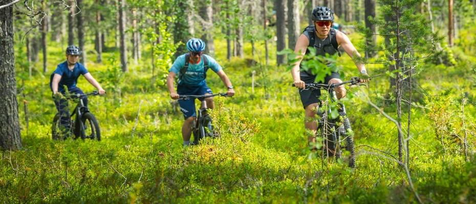 Wo die Sonne nicht untergeht: Sommerabenteuer in Lappland