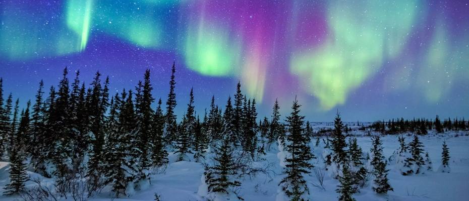 Tuja Reisen stellt Winterprogramm 2025/26 für Finnisch-Lappland vor - Lesen Sie die Nachrichten