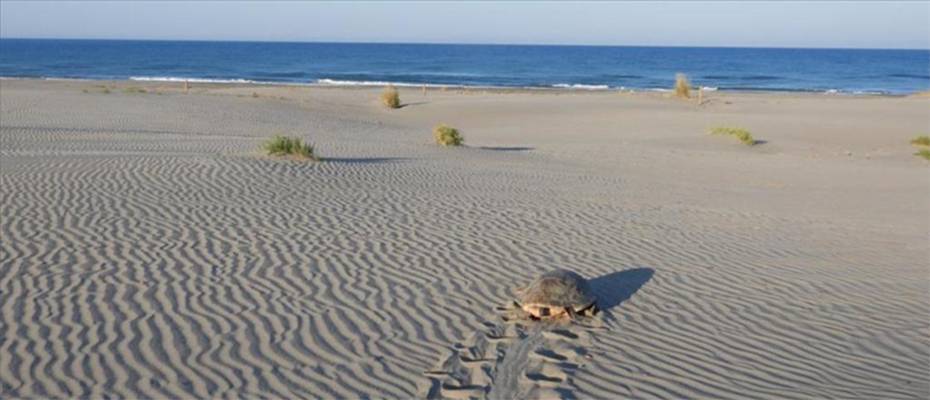 Akdeniz’in incisi Patara eylem planı ile korunacak