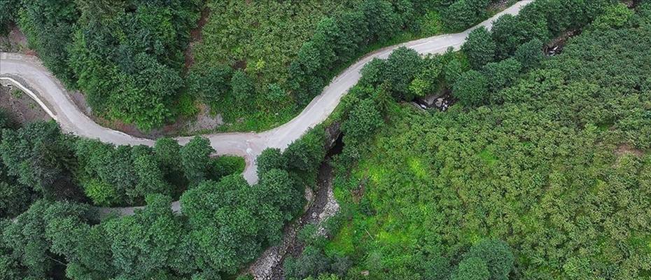Trabzon’daki Kazan Gölü Kanyonu turizme kazandırılacak