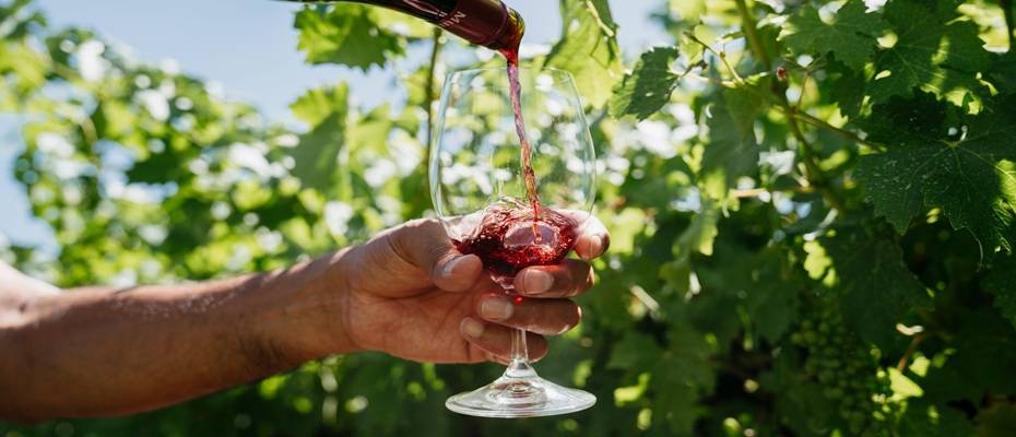 Wein trifft Welt: Pairings, bei denen Wein auf Identität, Umwelt, Abenteuer und Design trifft - Lesen Sie die Nachrichten