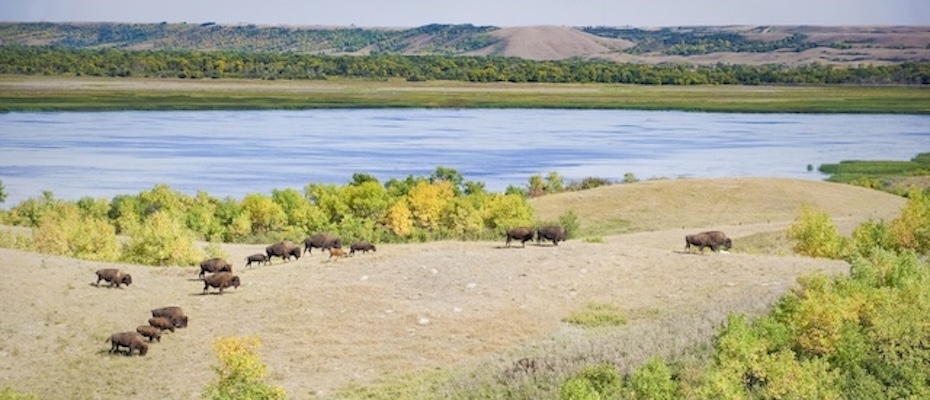 Buffalo Pound Provincial Park: Zwischen Bisonpfaden und Abenteuerlust - Lesen Sie die Nachrichten