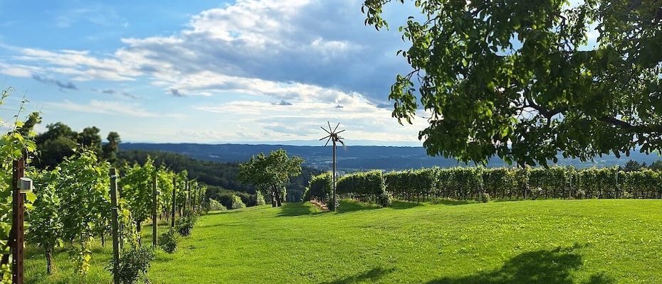 TUI Hautnah-Event im steirischen Weingut - Lesen Sie die Nachrichten