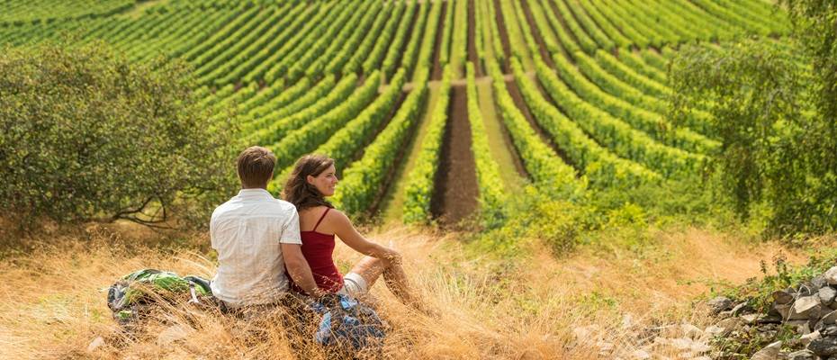 Herbstwanderung in Rheinhessen – Goldene Aussichten auf der Hiwweltour ‘Heideblick’ - Lesen Sie die Nachrichten