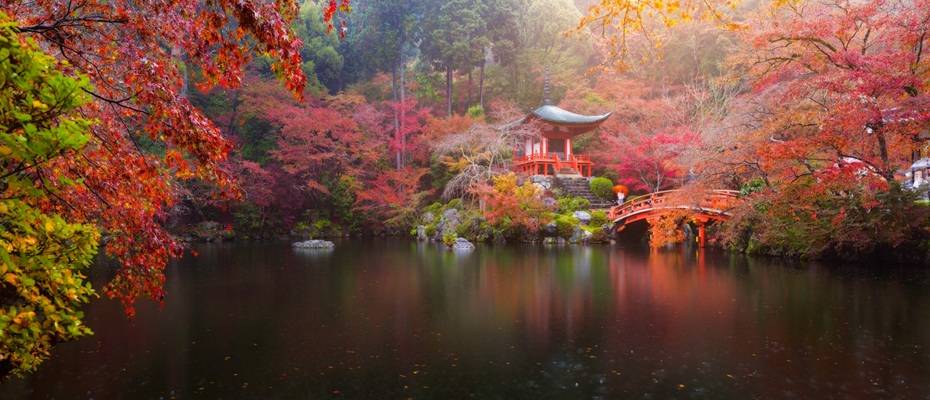 Japan-Reisen 2026: Hohe Nachfrage nach Boutique-Expeditionsschiffen - Read the News?>