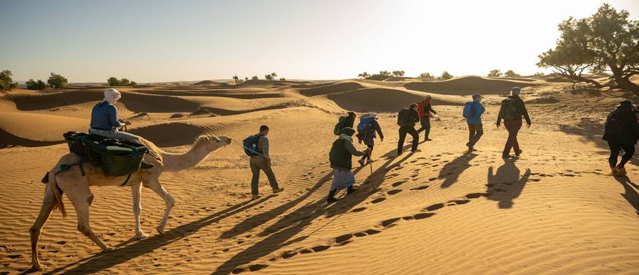 Fernreisen 2026: Authentische Erlebnisse in Marokko, Bhutan und Brasilien - Read the News?>