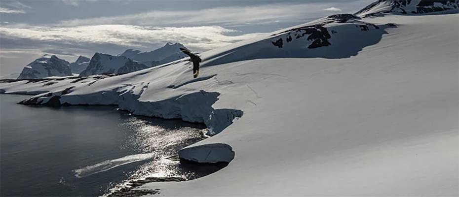 Antarctic Pollution Rising as Tourism and Research Expand, Study Warns - Read the News