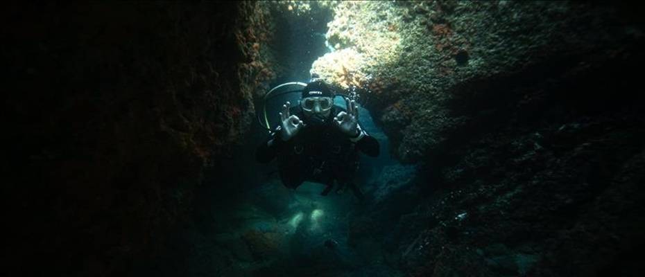 Oman’s Musandam Hosts First-Ever International Diving Festival - Lesen Sie die Nachrichten?>