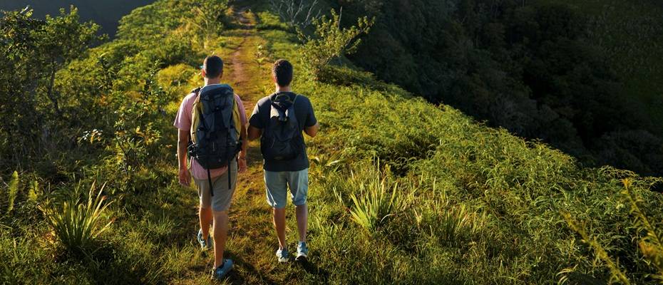 Tahiti neu entdecken: Wanderpfade und Panoramablicke im Herzen der Insel - Lesen Sie die Nachrichten